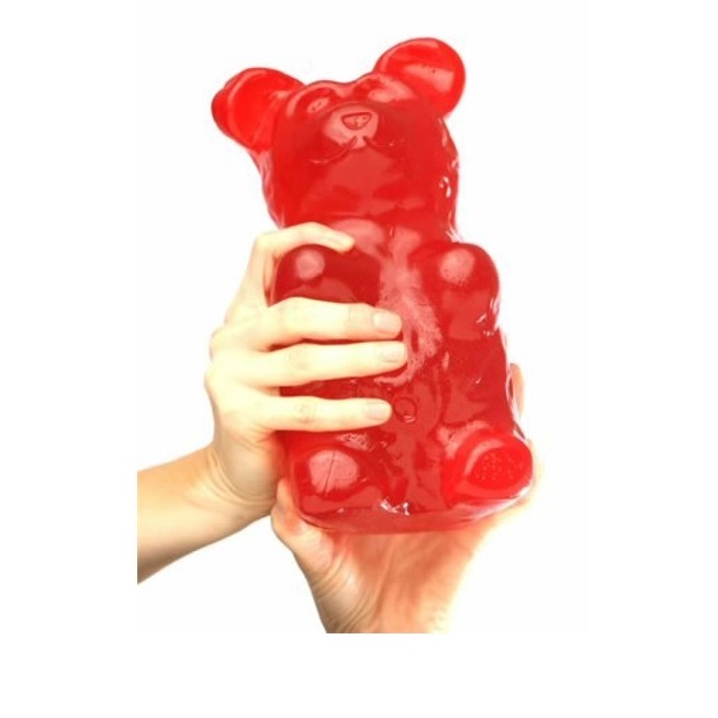 DIY Giant Gummy Bear Mold by Mister Gummy Never Opened